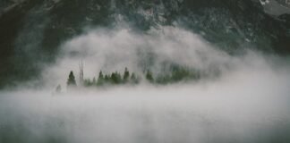 Lucknow News: ऑटोमोबाइल सेक्टर में 150 युवाओं को मिली नौक… Lucknow