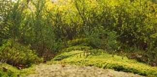 Andhra Pradesh: गोदावरी नदी में डूबे पांच इंजीनियरिंग छात… Andhra