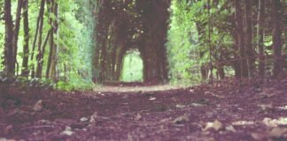 पंजाब: वेयरहाउस मैनेजर खुदकुशी मामले में मंत्री लालजीत भु… पंजाब