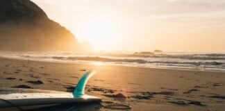 Patna News: बिहार विधानसभा के सामने फ्लाईओवर पर आग! देर त… Patna