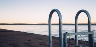 Srinagar News: लद्दाख के एलजी ने नई दिल्ली में प्रधानमंत्… Srinagar