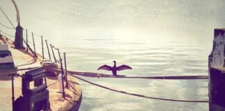 त्रिपुरा व मिजोरम की कला व संस्कृति पर छात्रों ने प्रस्तु…