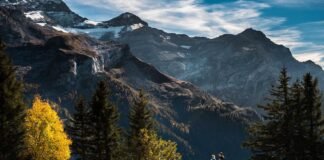 हम बेयर ग्रिल्स के रिश्तेदार नहीं हैं: सांप और डॉग मीट खा… बेयर