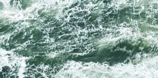 उत्तराखंड के इन जिलों में कल होगी बारिश और बर्फबारी, जाने… उत्तराखंड