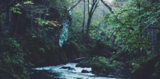 हरियाणा: कांग्रेस विधायक के परिवार में बड़ी टूट, राज्यसभा… हरियाणा