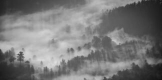 Punjab News: फाजिल्का में सीमा पार से तस्करी की कोशिश नाक… Punjab