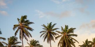 MP News: मुख्यमंत्री डॉ. मोहन यादव के नेतृत्व में प्रदेश … News