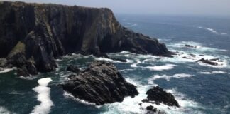 Open AI Jobs: ओपनएआई 2026 तक अपने कर्मचारियों की संख्या ल… Open