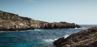 जयपुर सोल्जराथॉन 2026: फिटनेस और देशभक्ति के उत्सव में दौ…