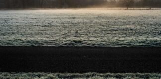 तेल की तपिश: क्या भारत में बंद हो जाएंगी फैक्ट्रियां? कां… तेल