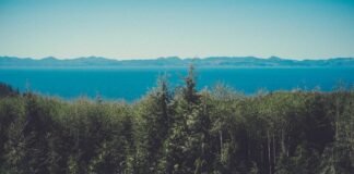 Srinagar News: लद्दाख में अदा की गई ईद की नमाज – Amar Ujala Srinagar