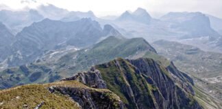 Rohtak News: गुजरात के राज्यपाल से मिले यशपाल खोला – Amar… Rohtak