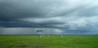 सिक्किम के ऊंचाई वाले इलाकों में हिमस्खलन का खतरा, IMD ने… सिक्किम