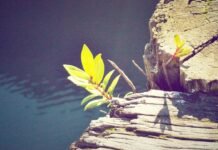 NIA ने पकड़ा विदेशियों का ड्रोन नेटवर्क, पढ़ें NIA