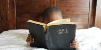 तेलंगाना के राज्यपाल ने भोजपुरी को हिंदी की शक्ति बताया: … तेलंगाना