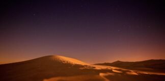 मेरठ के परतापुर में लग्जरी गाड़ियों से भरा कंटेनर सीज: हैद… मेरठ