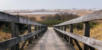 Sogaria-Mathura Special Train: कोटा के सोगरिया से मथुरा क… Sogaria