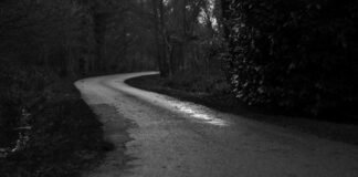 आंध्र प्रदेश: नायडू 1.36 लाख करोड़ रुपये के एएम/एनएस इंडि… आंध्र