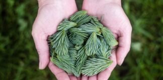 रंधावा के आखिरी शब्द…भुल्लर बच्चों को कुछ कर देगा: दोस्… रंधावा