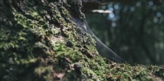 TOP News: ट्रंप का होर्मुज पर 48 घंटे का अल्टीमेटम; ईरान … TOP