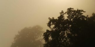 मणिपुर में शांति की पहली किरण: नए CM खेमचंद से मिले कुकी-… मणिपुर