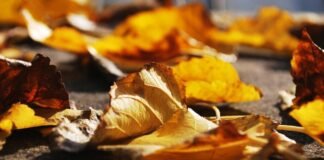 भारत में एक बार फिर भूकंप के झटके, एक दिन पहले भी कांप गई… भारत