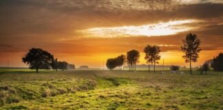 हरि विहार कॉलोनी; नाली और सड़क नहीं, बरसात में दिक्कत – D… हरि