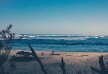 15 साल और 223 दिन की उम्र में शतक, इंटरनेशनल क्रिकेट में … साल