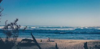 15 साल और 223 दिन की उम्र में शतक, इंटरनेशनल क्रिकेट में … साल