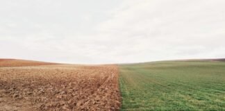 तेलंगाना भाजपा अध्यक्ष ने मोदी को सरकार के प्रमुख के तौर … तेलंगाना