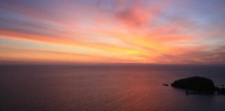 आंध्र प्रदेश में मिलावटी दूध पीने की वजह से 20 लोग बीमार,… आंध्र