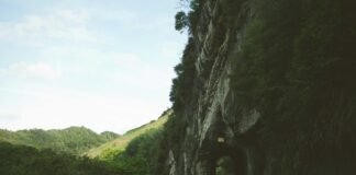 गोरखपुर का धोखेबाज फर्जी IAS दूल्हा, 15 लाख लिया दहेज, शा… गोरखपुर