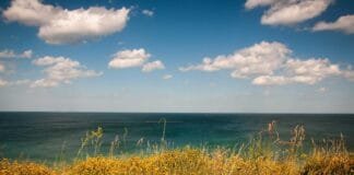 कश्मीर से हिमाचल-उत्तराखंड तक… बर्फ से ढके पहाड़, Video