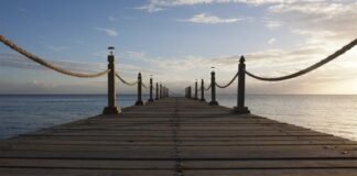 बीजेपी ने त्रिपुरा स्टेट राइफल्स के रिटायर्ड जवान को बंगा… बीजेपी