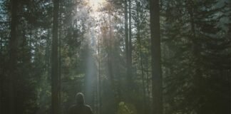 कोलकाता से पहले सिलीगुड़ी में PM मोदी का मेगा रोड शो, उत्… कोलकाता