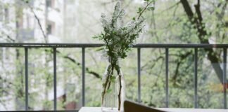 Election 2026: बंगाल चुनाव में AIMIM की एंट्री, ओवैसी ने … Election