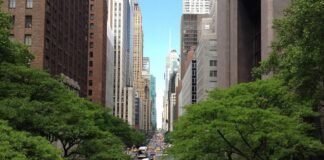 निप्पॉन पेंट ने पंजाब किंग्स के साथ साझेदारी की – Dainik … निप्पॉन