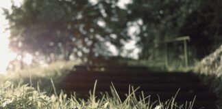 आंध्र प्रदेश के मुख्यमंत्री ने प्रधानमंत्री मोदी को ‘असाध… आंध्र