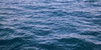 सिर्फ 7 दिन में ₹17000… Zepto डिलीवरी बॉय ने दिखाया गिग… सिर्फ