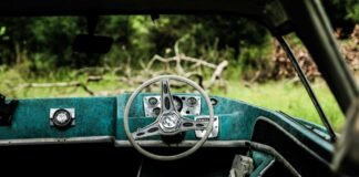 महाराष्ट्र में शुरू होने वाली है एसआईआर की प्रक्रिया, बीज… महाराष्ट्र