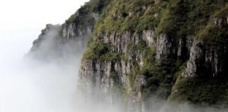 कांग्रेस कार्यकर्ताओं ने अपने ही कार्यालय में की तोड़फोड़… कांग्रेस