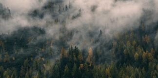 दिल्ली विधानसभा बजट सत्र में रेखा सरकार की क्या क्या चुनौ… दिल्ली