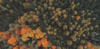 मणिपुर के मुख्यमंत्री ने कुकी समुदाय के लोगों से की मुलाक… मणिपुर