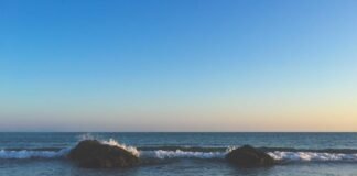 Charkhi Dadri News: 70 वर्ष की उम्र में अजीत सांगवान ने ख… Charkhi