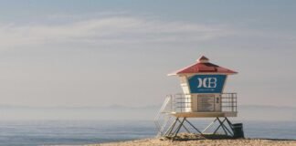 सीधी में कलेक्टर को हटाने से पहले दो बार सीएम ने बुलाया थ… सीधी