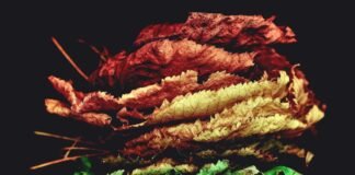 छपरा के रास्ते न्यू तिनसुकिया स्पेशल ट्रेन का होगा परिचा… छपरा