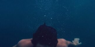 हरियाणा से संजय भाटिया राज्यसभा में करेंगे आवाज बुलंद – D… हरियाणा