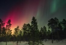 खन्ना में व्यापारियों की समस्याएं सुनने के लिए पंजाब स्टे… खन्ना