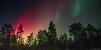 खन्ना में व्यापारियों की समस्याएं सुनने के लिए पंजाब स्टे… खन्ना