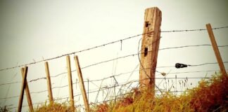 नॉर्थईस्ट डायरीः पांच सालों में दोगुनी हुई असम सीएम और उन… नॉर्थईस्ट